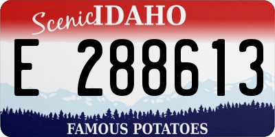 ID license plate E288613