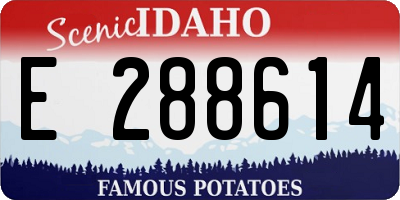 ID license plate E288614