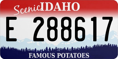 ID license plate E288617