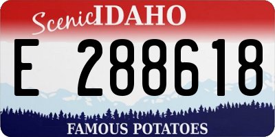 ID license plate E288618