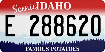 ID license plate E288620