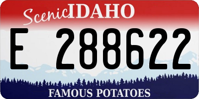 ID license plate E288622