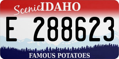 ID license plate E288623