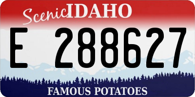 ID license plate E288627