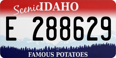 ID license plate E288629