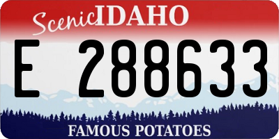ID license plate E288633