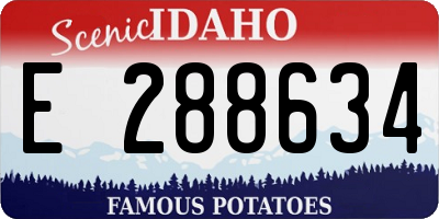 ID license plate E288634