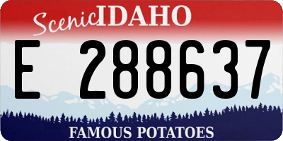 ID license plate E288637