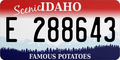 ID license plate E288643