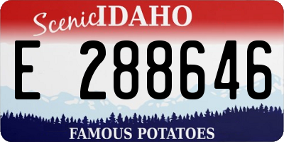 ID license plate E288646