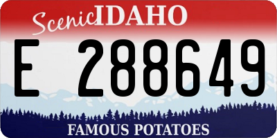 ID license plate E288649