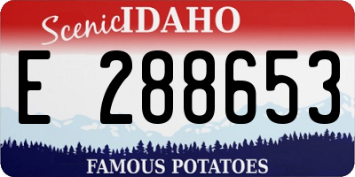 ID license plate E288653