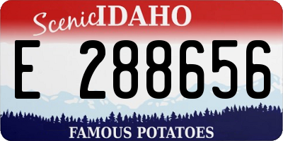 ID license plate E288656