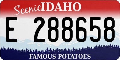 ID license plate E288658