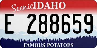 ID license plate E288659