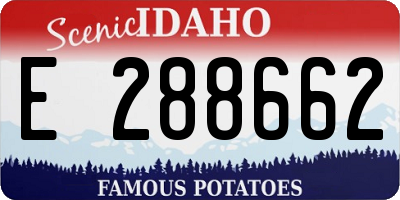 ID license plate E288662