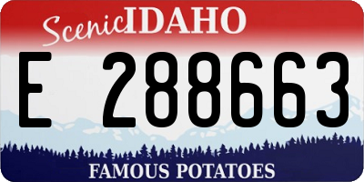ID license plate E288663