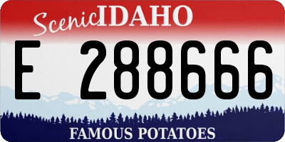 ID license plate E288666