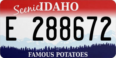 ID license plate E288672