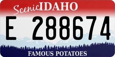 ID license plate E288674