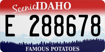 ID license plate E288678