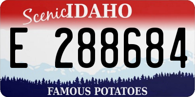 ID license plate E288684
