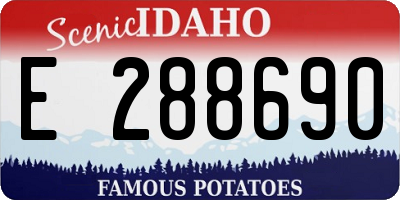 ID license plate E288690