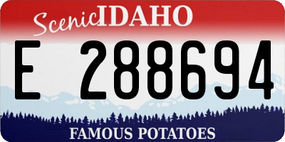 ID license plate E288694