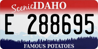 ID license plate E288695