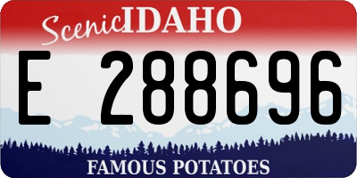 ID license plate E288696