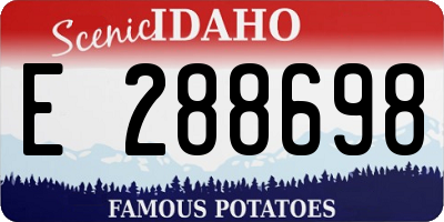 ID license plate E288698