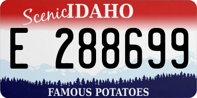 ID license plate E288699