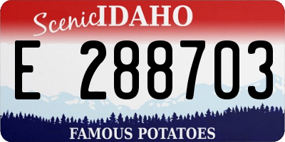 ID license plate E288703