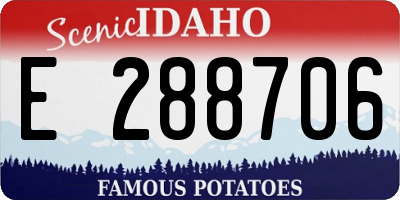 ID license plate E288706
