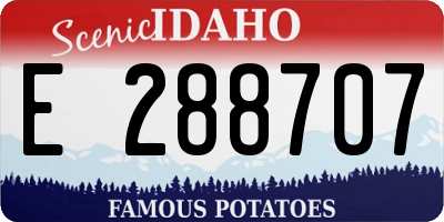 ID license plate E288707