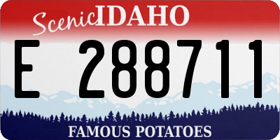 ID license plate E288711