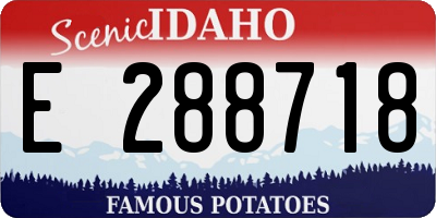 ID license plate E288718