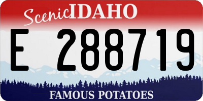 ID license plate E288719