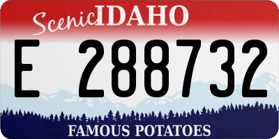 ID license plate E288732
