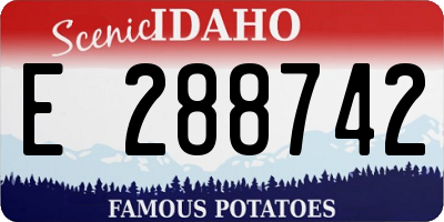 ID license plate E288742