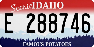 ID license plate E288746