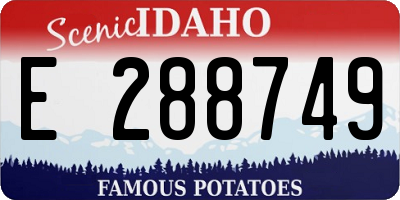 ID license plate E288749