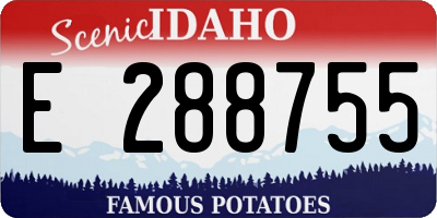 ID license plate E288755