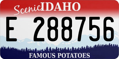 ID license plate E288756