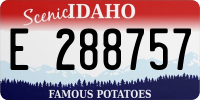 ID license plate E288757