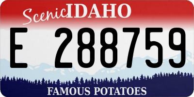 ID license plate E288759