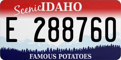 ID license plate E288760