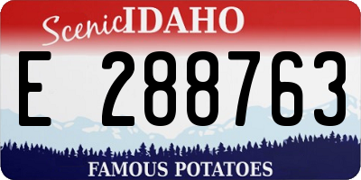 ID license plate E288763