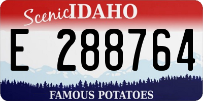 ID license plate E288764