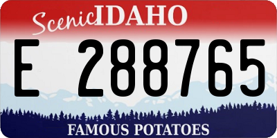 ID license plate E288765